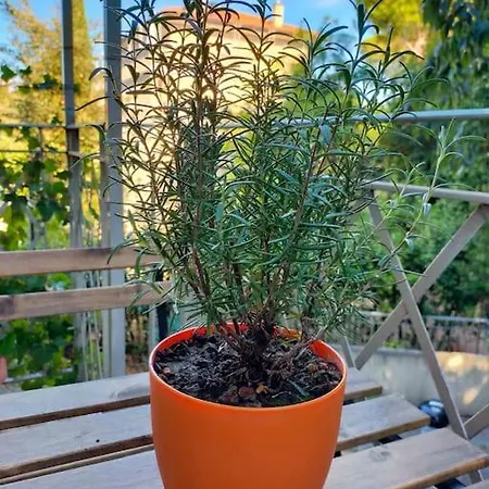 Le Nuvole Da Davide E Romina Apartament