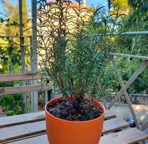 Le Nuvole Da Davide E Romina Apartment